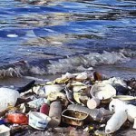 Sacolas plásticas: a vilão da poluição