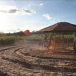 Horta orgânica gera trabalho e renda para população de baixa renda