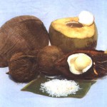 A casca de coco vem sendo usada, com sucesso, em diversos tipos de reciclagem