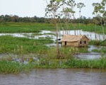 Famílias em isolamento no Amazonas