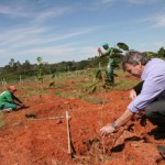 Sérgio Slaviero planta mudas no Parque Ecológico de Uso Múltiplo