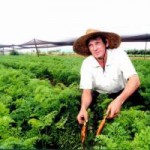 Embrapa sugere marco regulatório voltado para a economia verde