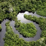 Região Norte busca crescimento econômico com respeito ao meio ambiente