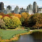 nova-york-ecod