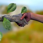 ecologia-e-desenvolvimento-sustentavel-2