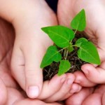 frases_sustentabilidade